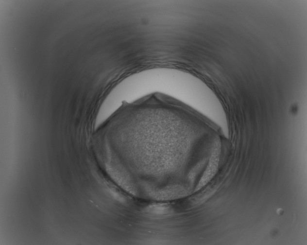 X0000094180280200711241600