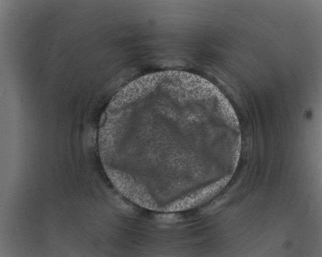 X0000094180281200711241600