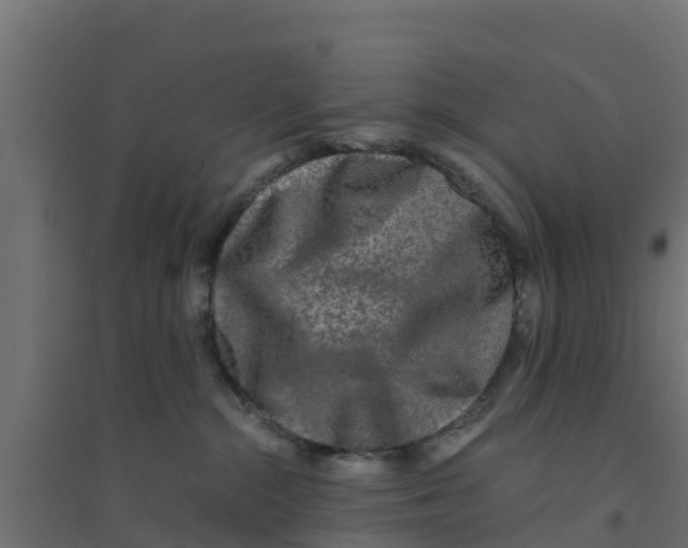 X0000094180284200711241600