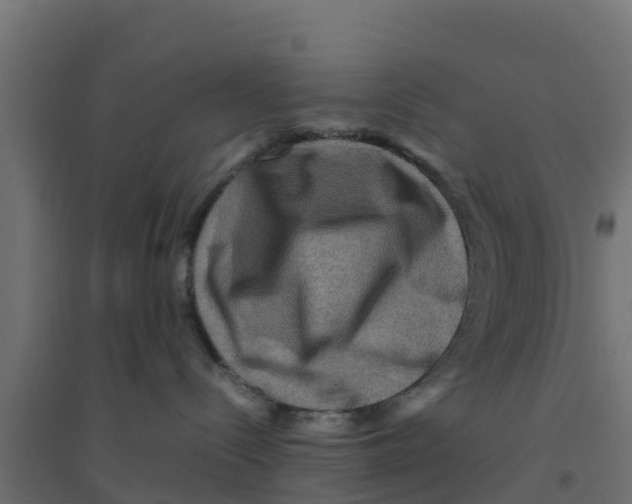 X0000094180288200711241600