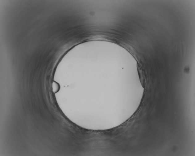 X0000094180289200711241559