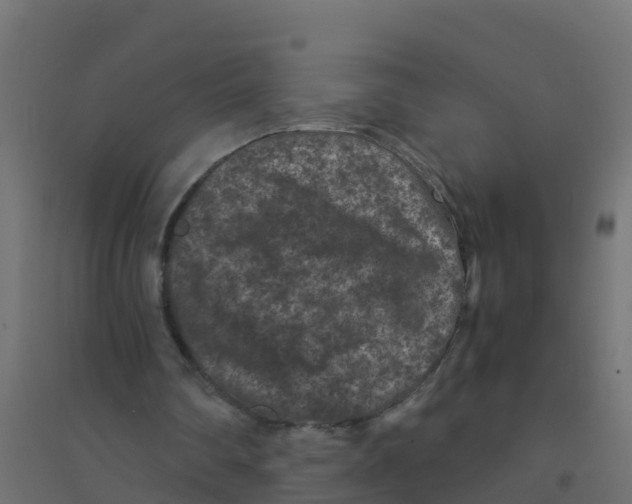 X0000094180290200711241559