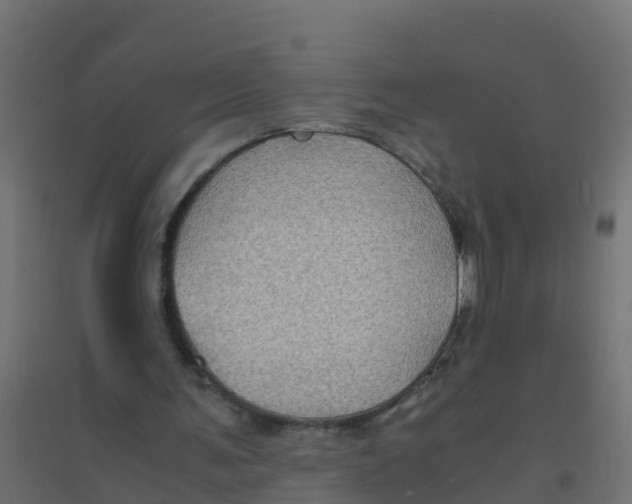 X0000094180291200711241559