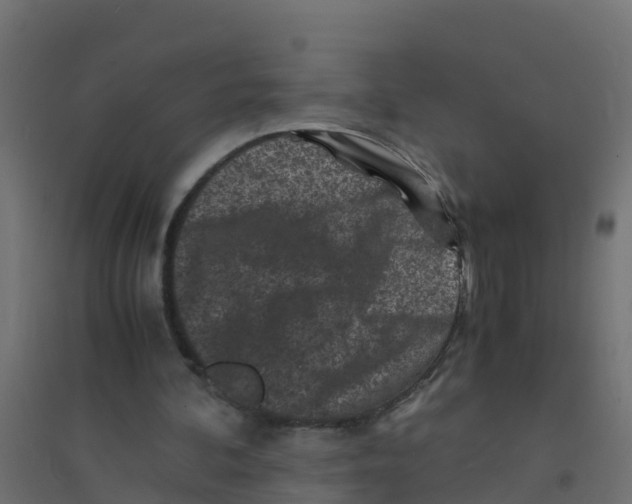 X0000094180292200711241559