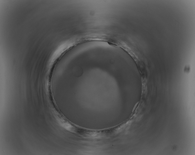X0000094180293200711241559