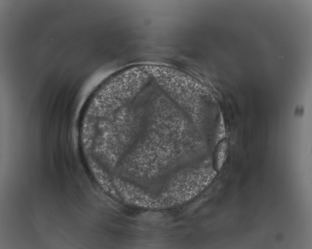 X0000094180294200711241559