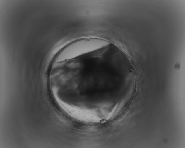 X0000094180295200711241559