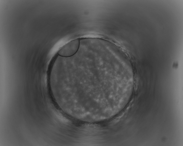 X0000094180296200711241559