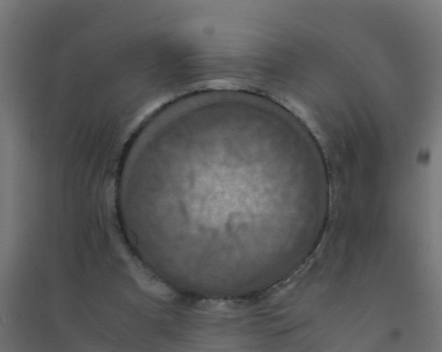X0000094180297200711241559