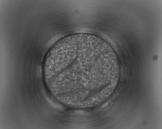 X0000094180298200711241559