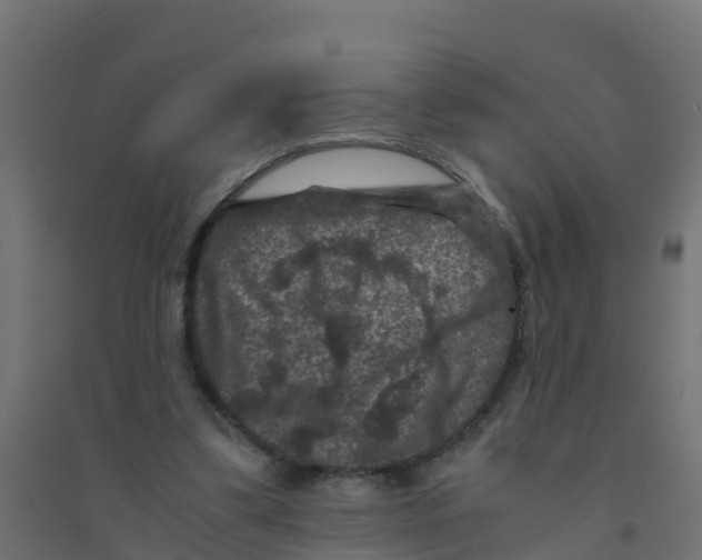 X0000094180299200711241559