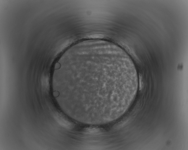 X0000094180300200711241559