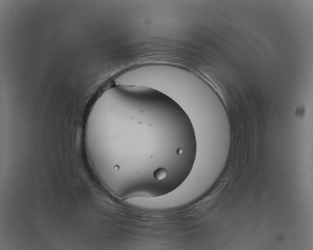 X0000094180301200711241559
