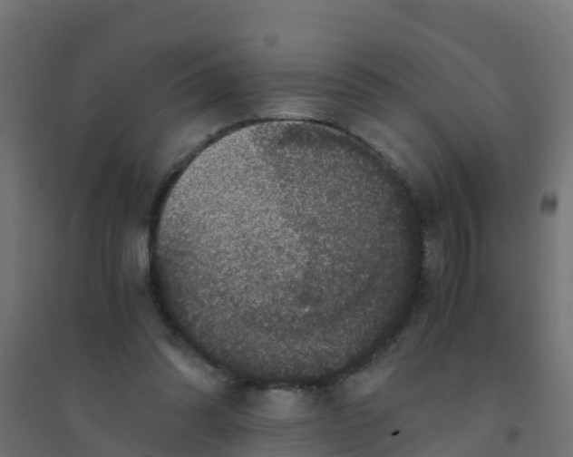 X0000094180302200711241559