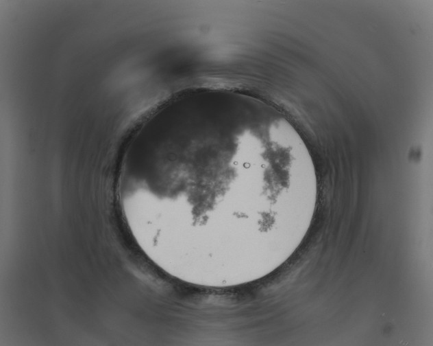 X0000094180303200711241559