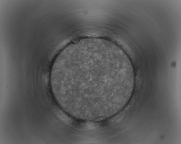 X0000094180305200711241559