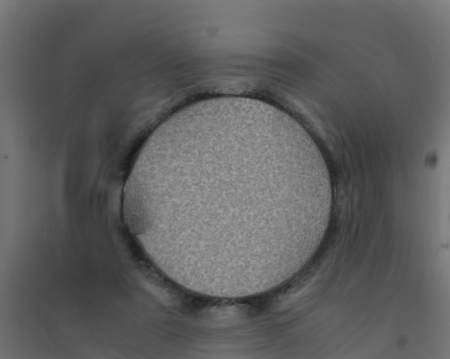 X0000094180307200711241559