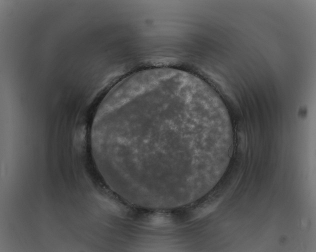 X0000094180308200711241559