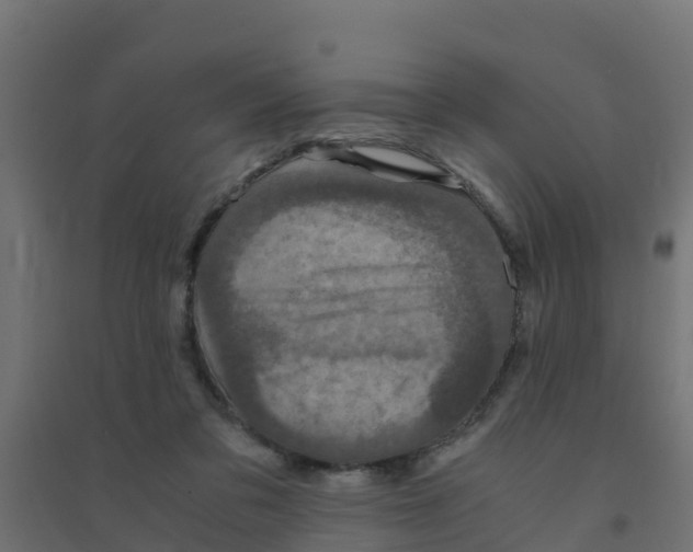 X0000094180309200711241559