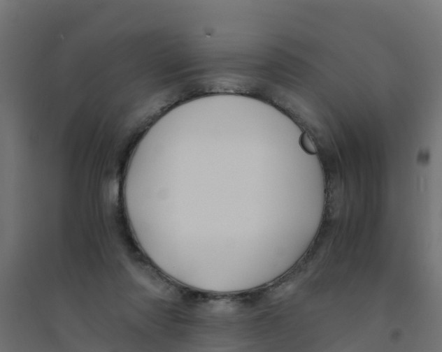 X0000094180310200711241559