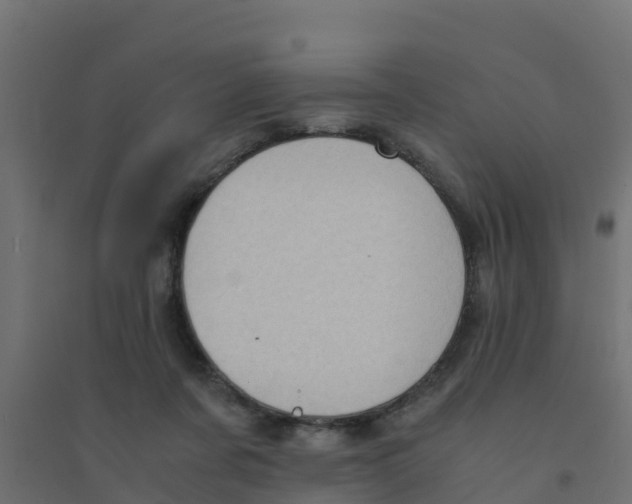 X0000094180311200711241559