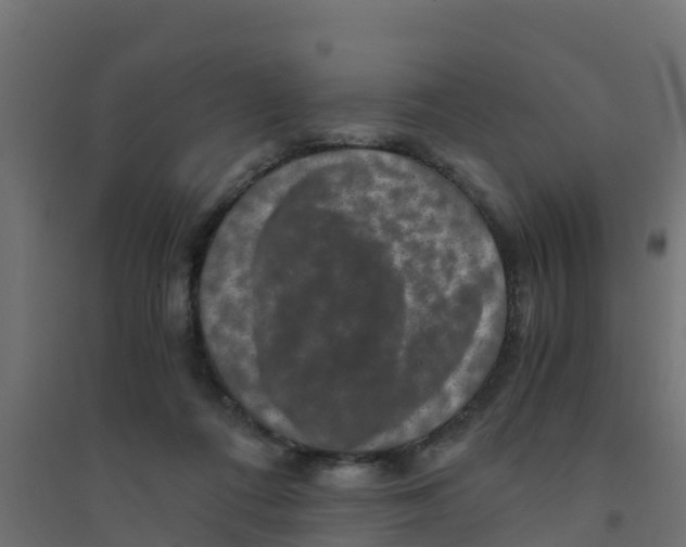 X0000094180312200711241559