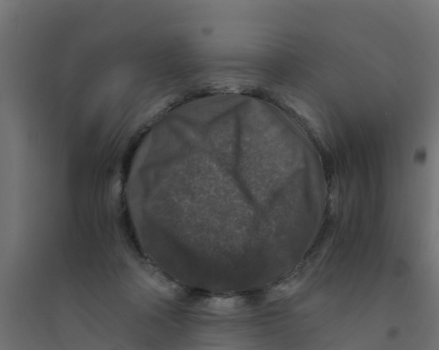 X0000094180314200711241559