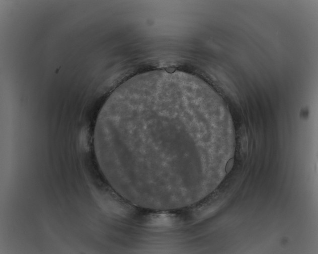 X0000094180316200711241559