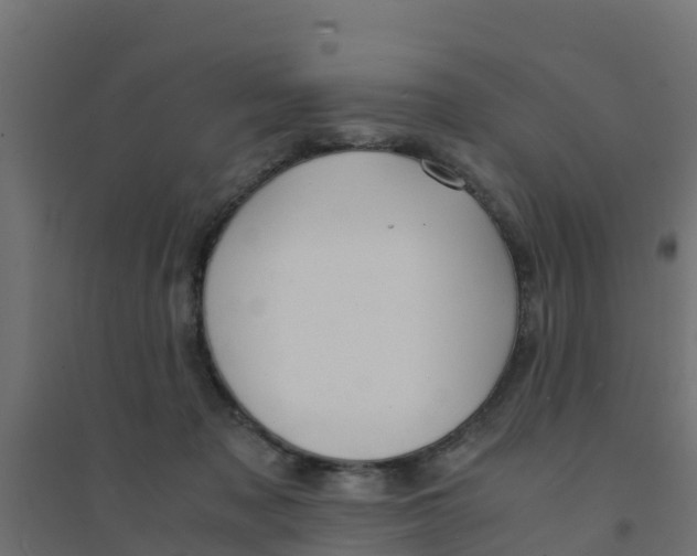 X0000094180317200711241559