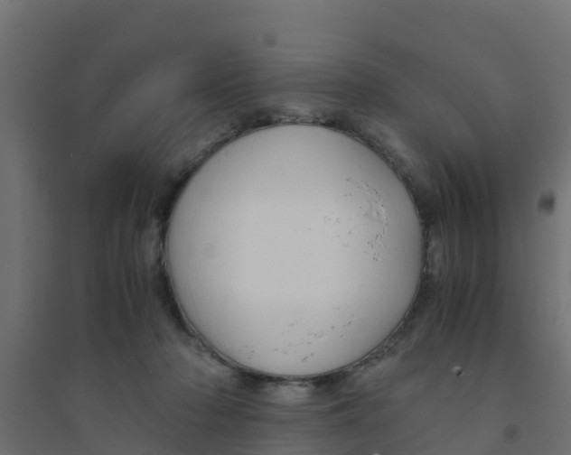 X0000094180318200711241559