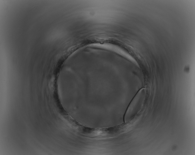 X0000094180319200711241559