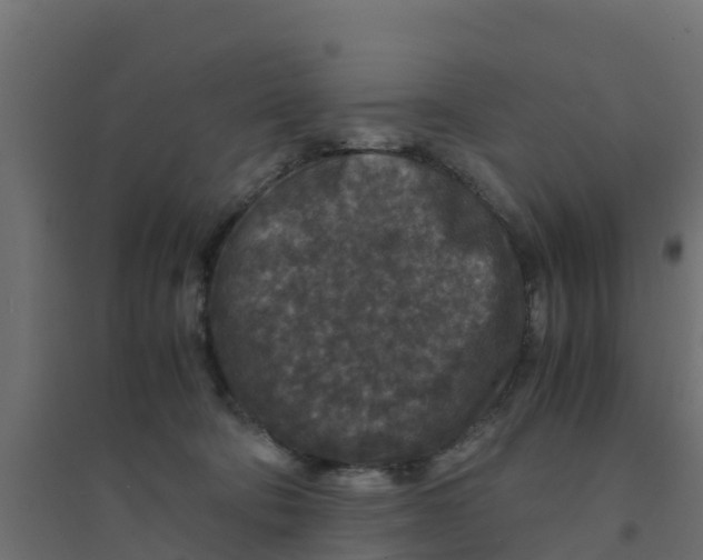 X0000094180322200711241559