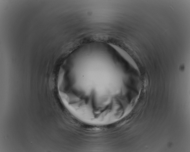 X0000094180323200711241559
