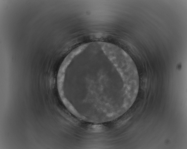 X0000094180324200711241559