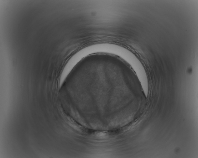 X0000094180325200711241559