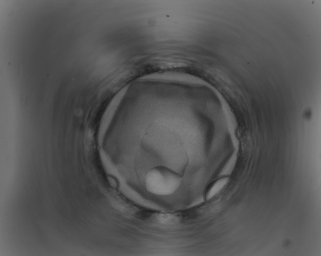 X0000094180327200711241559