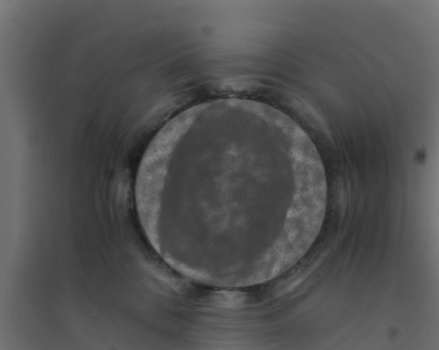 X0000094180328200711241559
