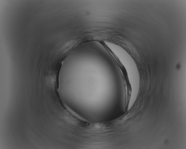 X0000094180329200711241559