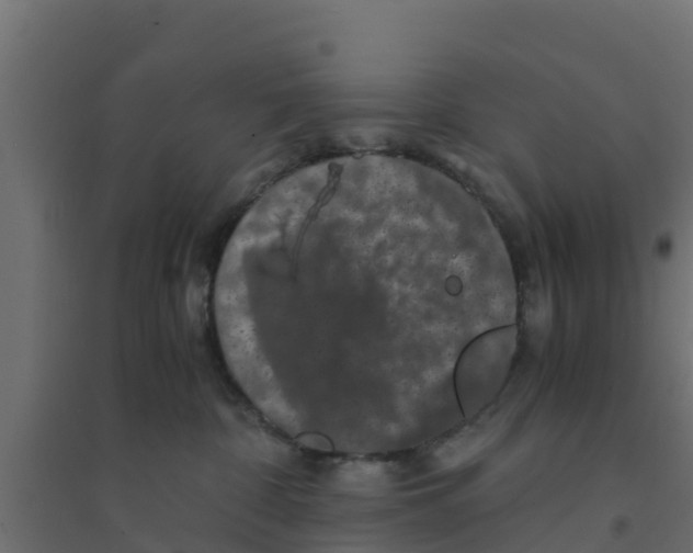 X0000094180332200711241559