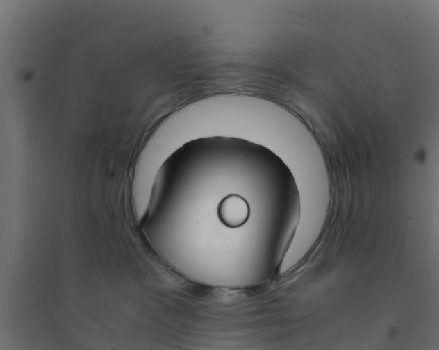 X0000094180333200711241559
