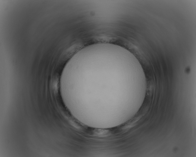 X0000094180334200711241559