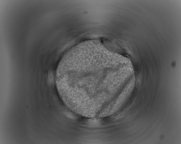 X0000094180335200711241559