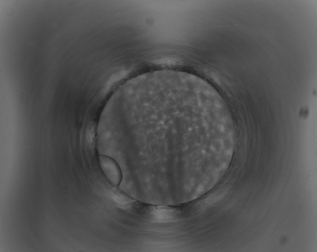 X0000094180336200711241559