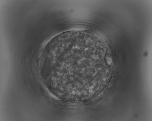 X0000094180337200711241558