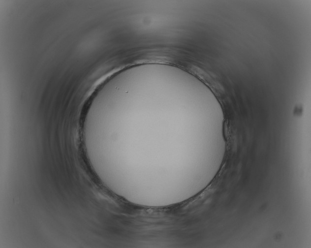 X0000094180338200711241558