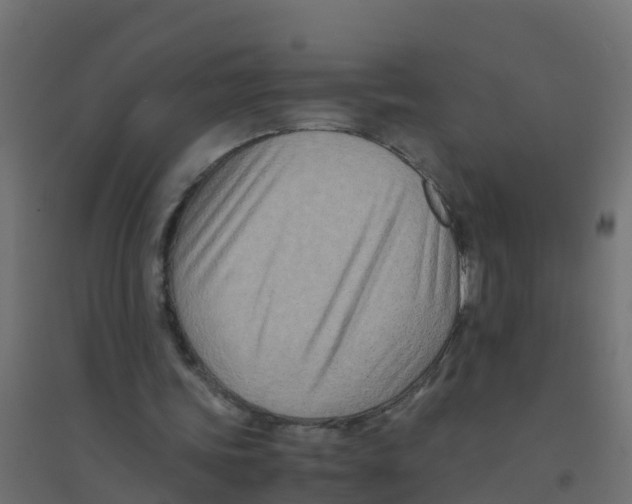 X0000094180339200711241558