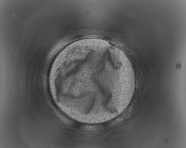 X0000094180341200711241558
