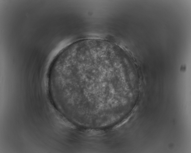 X0000094180343200711241558
