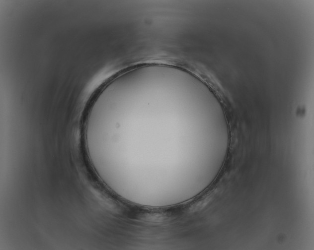 X0000094180344200711241558