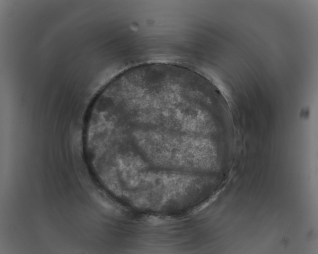 X0000094180346200711241558